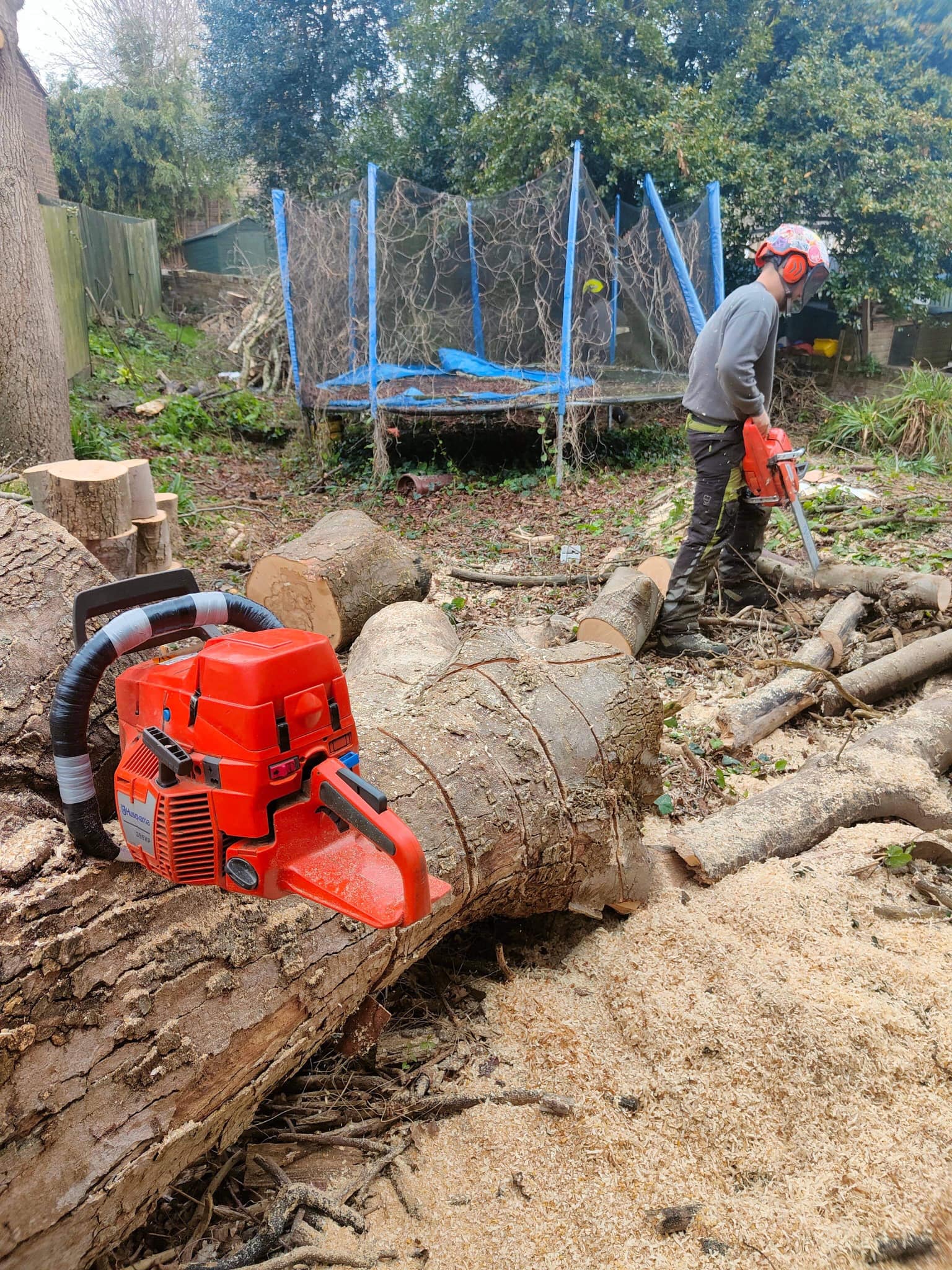A Green Growth Tree Surgeon with a chainsaw has felled a tree for a garden clearance job