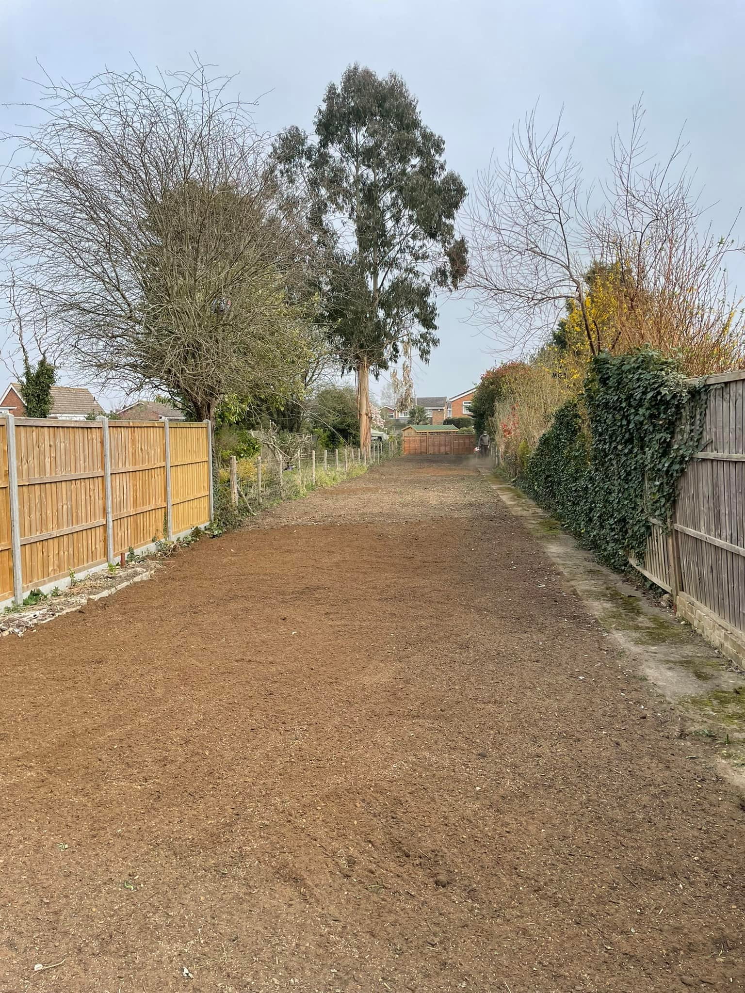 A garden, freshly levelled and sewn with grass seed.