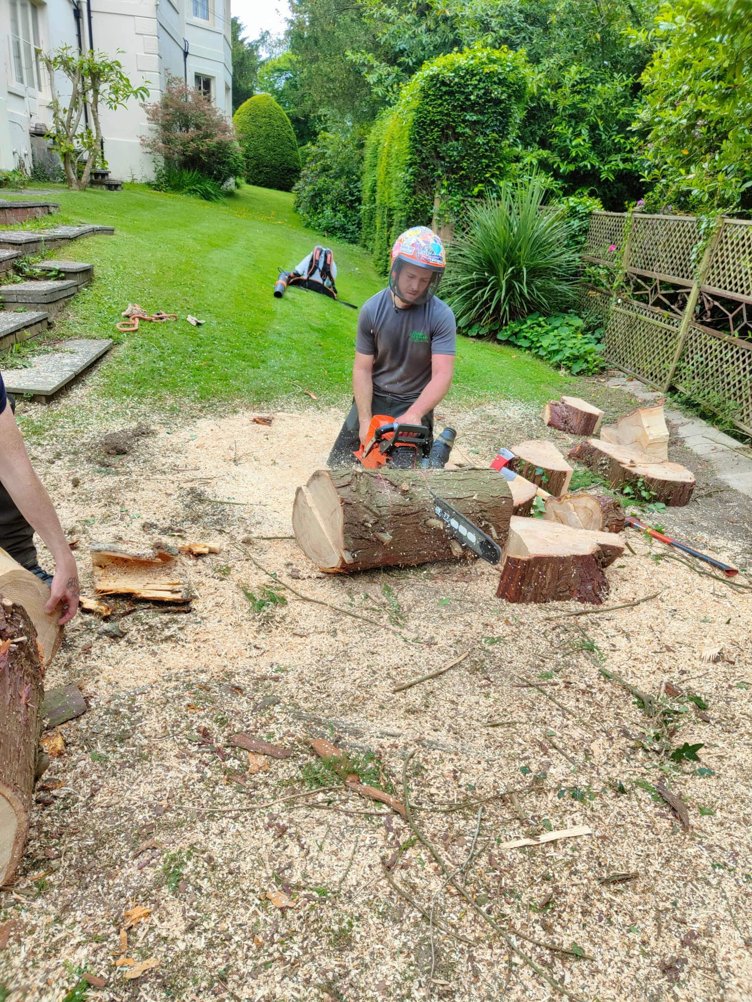 A tree surgeon chops logs up in a private garden.
