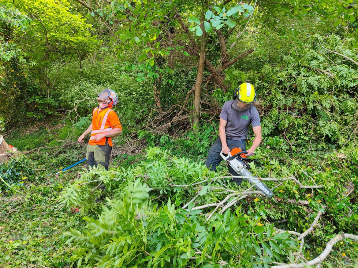 2 tree surgeons chop fallen branches.