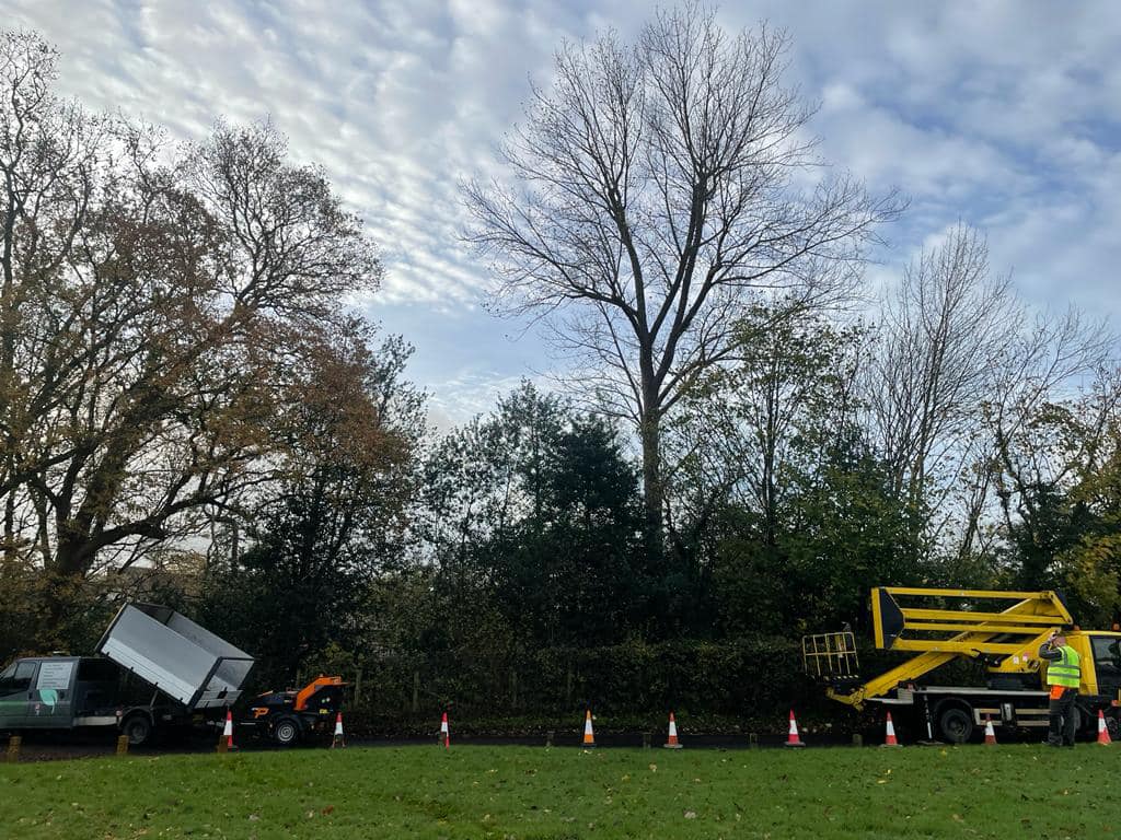Vehicles belonging to a tree surgeon work to remove a fallen tree from a road