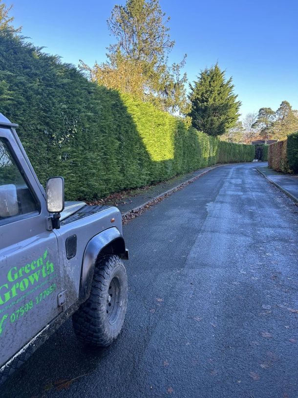 An arborist from green Growth tree services stands beside a tree requiring dead wooding.