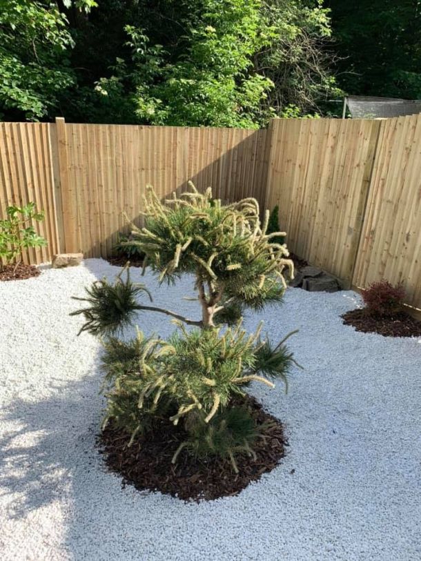 A new fence in the background of a freshly-landscaped garden