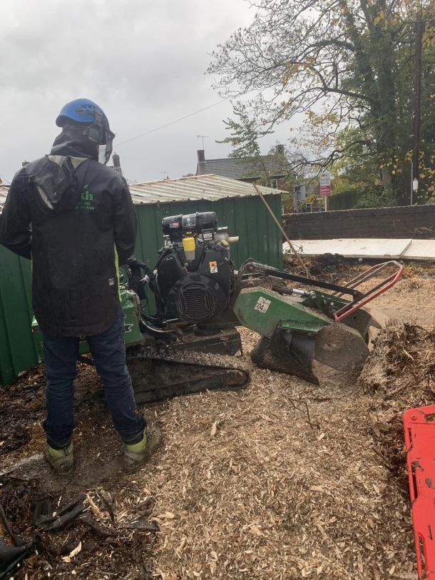 A man using a stump grinder to grind a tree stump.